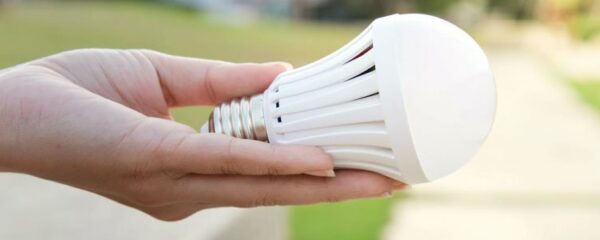 Ampoules LED