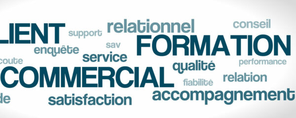 formations commerciale