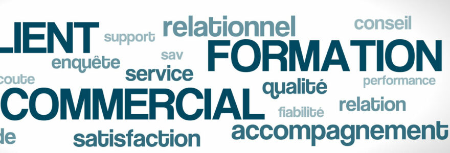 formations commerciale